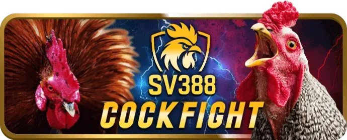 Hỗ trợ khách hàng sss666